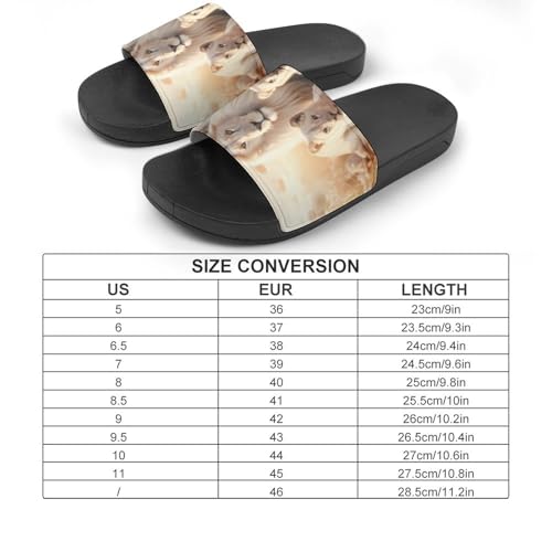 African Lion Family House Sandals Non-Slip Bathroom Slippers Beach Summer Shoes for Men Women2
