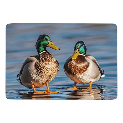 Tapis de bain super absorbant canards colverts antidérapant et sec