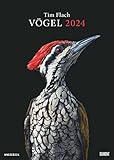  Tim Flach: Vögel 2024 – Posterkalender von DUMONT– Vogel-Porträts von Tim Flach – Poster-Format 50 x 70 cm