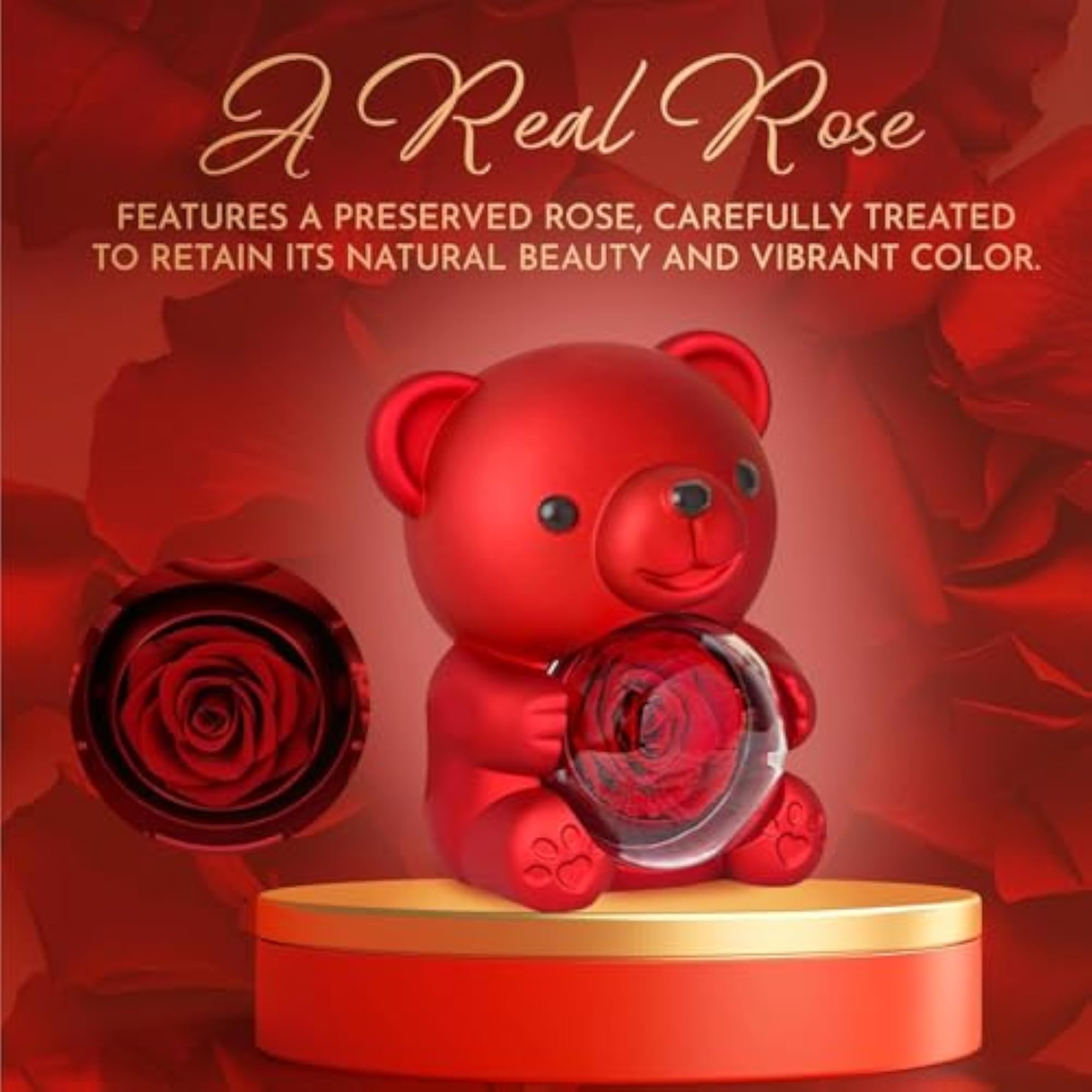 Real Rose Bear Gift Box - Romantic Teddy with Red Rose