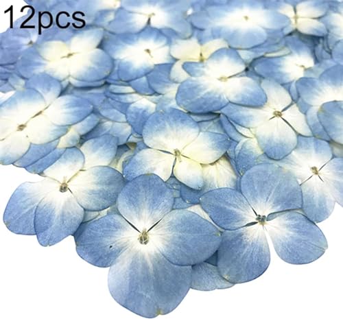 Flores secas preservadas azules, pack 12 piezas miniatura 2