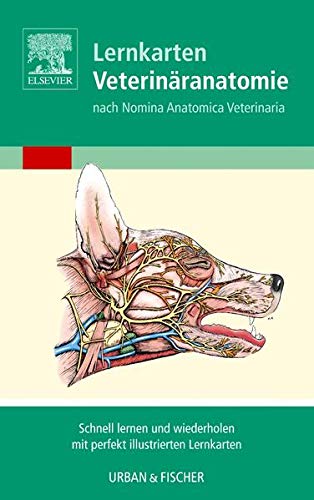 Lernkarten Veterinäranatomie/Veterinary Anatomy Flash Cards Lernkarten Veterinäranatomie/Veterinary Anatomy Flash Cards