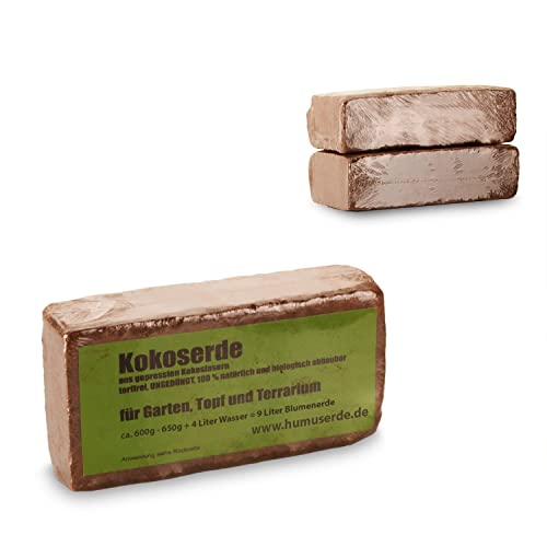 yayago Briques d'humus - Terre de coco - Terreau pressé en fibres de coco - Sans tourbe, non engrais - 100 % naturel et biodégradable - Pour jardin, pot et terrarium - 2 x 650 g