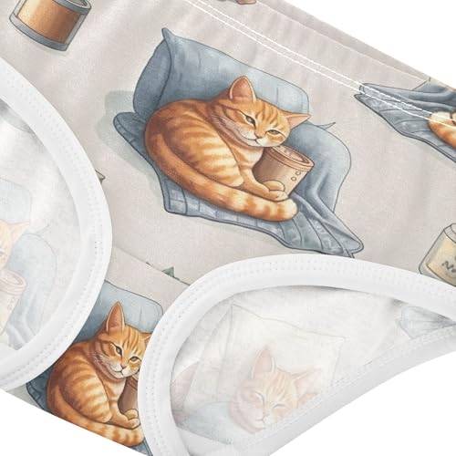 Cute Kitten Orange Tabby Cats Toddler Girls Underwear 2t Cotton Panties Little Girl Flower Kids Briefs Undies4