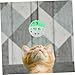 BESPORTBLE 10pcs Cat Teasing for Indoor Play Engaging Pet Toys to Curiosity and Exercise