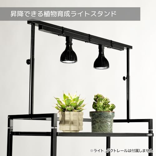 BIBILAB(ビビラボ) ビザールプランツライトスタンド LPS-800-BK の商品画像 2