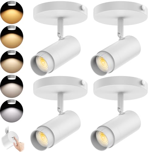 AIBISOD 5-Color LED Ceiling Spot Lights Indoor 15-60&deg; Zoomable 10W Flush Mount Ceiling Spotlight...