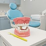 Zoom IMG-1 modello orale 9 7 x