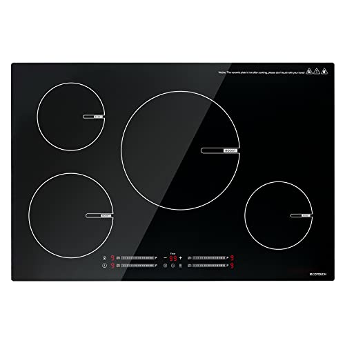 Find The Best Induction Cooktop 30 Inch Reviews & Comparison Katynel