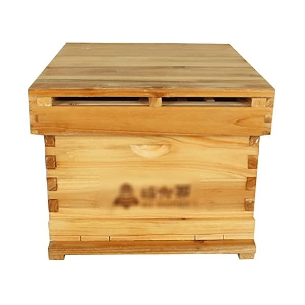 HYJBGGH Bienenhaus Flow Hive, 10 Rahmen Holz Outdoor Bienenstock Bienenkasten, w/10 Nestrahmen, Imkereibedarf Ausrüstung…