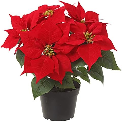 Planta de poinsétia de Natal de veludo vermelho artificial de 35,...