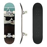 streakboard Skateboard 31