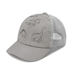 Light Grey Dinosaurs With Mesh