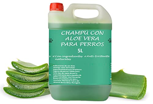 PLANTAWA Champú Aloe Vera para Perros 5L | Sin Alérgenos ni Parabenos, 100% Vegano | Acción Anti Irritaciones y Anti Eczemas, Ideal para Champú Perros Dermatitis, Piel Atópica y Pelo Blanco.