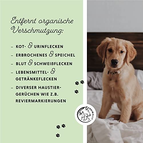 Annimally Enzymreiniger Spray 750ml gegen Katzenurin & Hundeurin XXL Packung - Tier Geruchsentferner gegen Urin Geruch - Enzym Flecken- und Geruchsentferner