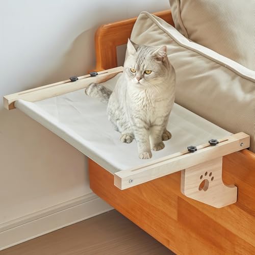 \ L nbN p ˂xbh 54*38*17.5cm C+ȂƖ̕zn ϖ ݂艺 h~ Lg ω׏d20kg ybgxbh p S݌v \ O\ȃxN ʋC lGΉ ȃXy[X xbhTC