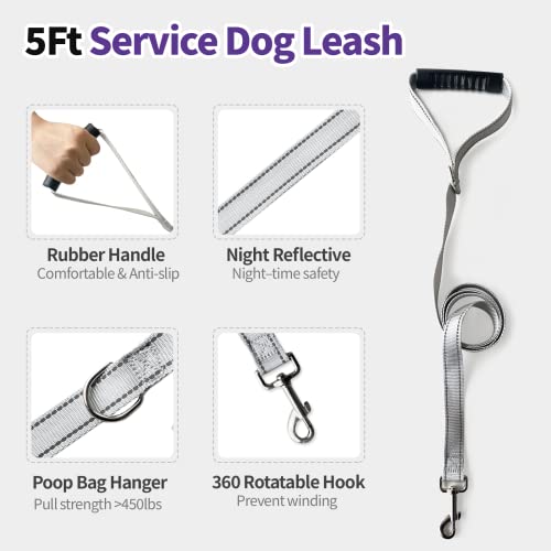 Dog Harness For Small Puppy Dogs And Cats No Pull Reflective Adjustable Soft Mesh Dog Harness And Leash Set Step In Easy Control Pet Dog Vest Harness With Handle For Walking Training Running Purple #TOP5