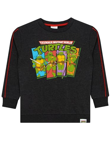 Teenage Mutant Ninja Turtles Sweatshirt | Boys Pullover Sweater | Ninja Turtle Sweater For Boys