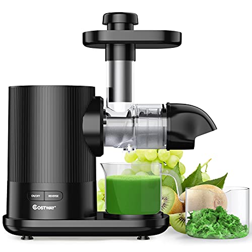 COSTWAY Slow Masticating Juicer Extractor with 95% of Juice Yield, Quiet Copper Motor, Reserve Function, Additional Brush, Juice Cup, Easy Clean Cold Press Juicer for Vegetables and Fruits (Black)