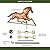 Good Directions Horse Weathervane, Pure Copper