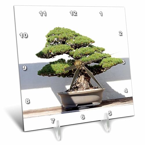 3dRose LLC Bonsai Tree Desk Clock, 6 by 6-Inch
