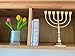 Salomon's Menora Authentic Brass Menorah - 7-Branch Candle Holder from Jerusalem, Israel - Antique Design for Spiritual, Religious & Home Decor