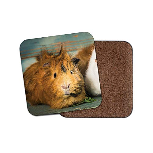 Funny Marron Cochon d'Inde Dessous-de-verre Cover