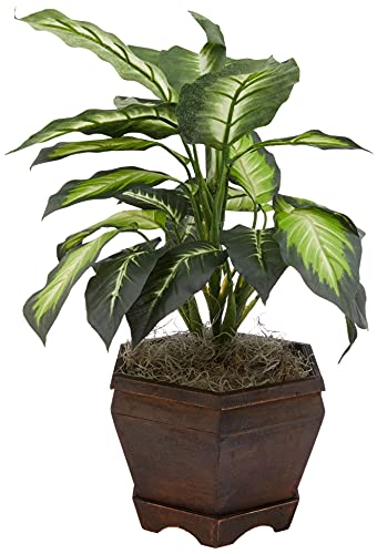 Nearly Natural 6592-05 Golden Dieffenbachia with Wood Vase Decorative Silk Plant, Green
