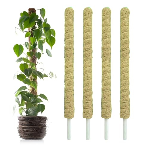Image of Casa De Amor Coir Stick | Natural Coco Pole Support for Climbing Indoor & Outdoor Plants | Strong Pole for Money Plant, Monstera, Pothos Growth (3 Feet, Set of 4)