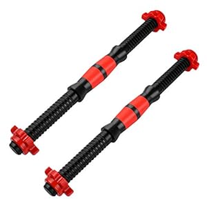 BESPORTBLE 2Pcs Dumbbell Bars Weightlifting Accessories for Gym Barbells Dumbbell Bars (Random Color)