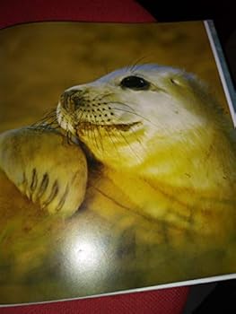 Hardcover Nature's Babies Book