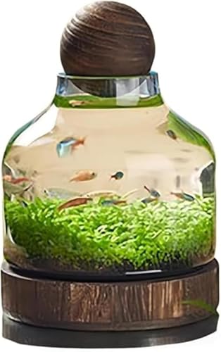 AOBOPO 金魚鉢 「和風透明ガラス金魚鉢|家庭用インテリア水槽 木製トレイ付き・厚手エコ素材|水槽ボトル・ランドスケープ魚鉢兼用|水耕栽培・マイクロランドスケープに最適