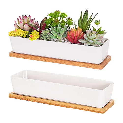Image of Fengson White Succulent Planter Pots,11 inch Long Rectangle Ceramic Plant Container with Bamboo Saucers and Drainage Holes,Mini Flower Cactus Pot Indoor Outdoor Home Garden Kitchen Decor,2 Pack