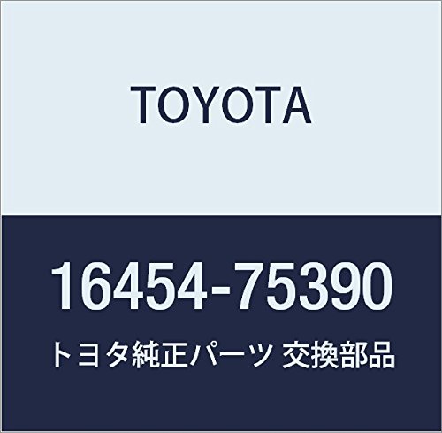 TOYOTA (toyota) Genuine Parts razie-tasaido Plate Dyna Piece/toyo Ace Part Number 16454 – 75390