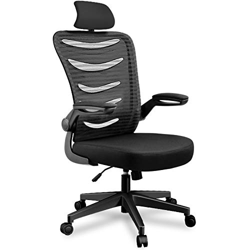 Ergonomic Office Desk Computer Chair Mesh Computer Chair with Flip Up Arms and Adjustable Headrest Lumbar Support Black