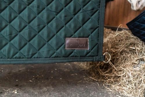 Devant de porte vert foncé lavable | Tapis de sol absorbant et grattant extérieur - 5