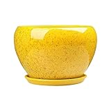 Decbde Simple Flower Pot Chinese Style Yellow Flower Glaze Ceramic Pot Indoor Large Succulent Plant Pot with Tray Outdoor Balcony Breathable Planter Exquisite Orchid Plant Pot (Size : M)