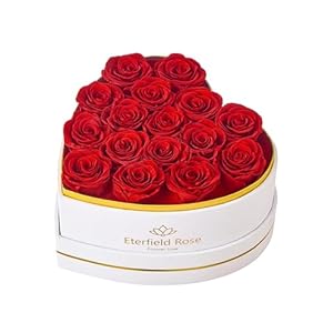 Eterfield 16 Forever Flowers in Hea...