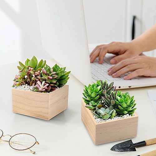 Image of GNIEMCKIN 20 Pack 4 x 4 Inch Unfinished Small Square Wooden Box, Rustic Organizer Storage for DIY Crafts, Collectibles, Succulents, Desktop Drawer Decor