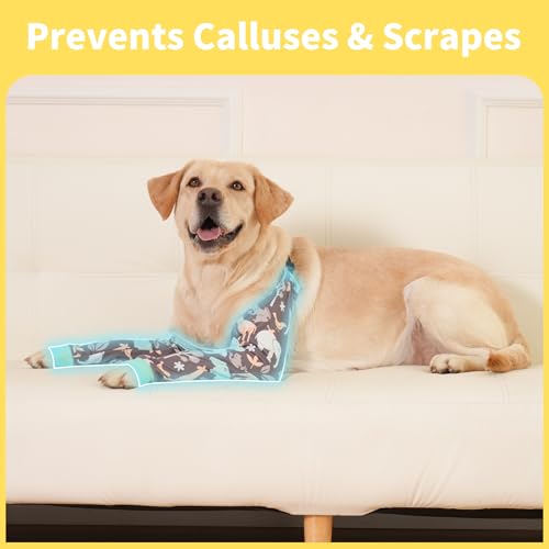 Image of LovinPet Dog Elbow Protector Anti-Licking Elbow Sleeve, Adjustable, Comfortable & Durable Front Leg Guard for Medium to Large Dogs, Prevents Licking and Chewing,Dog Sleeve,Dog Leg Sleeve,Grey