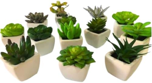 Vasos de Cerâmica e Mini Suculentas Artificiais Decore com Charme...