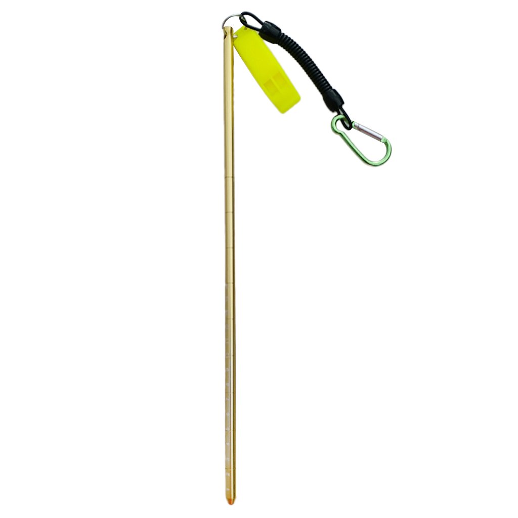 D DOLITY 34cm Aluminium Riffstab Unterwasser Tauchen Zeigestab mit Spiralkabel - Gold