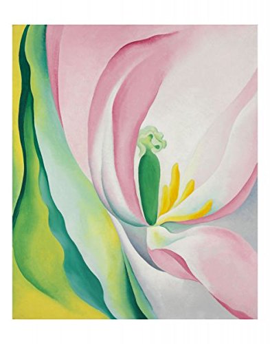 Bruce McGaw Graphics Pink Tulip, 1926 by Georgia O'Keeffe, Wall Decor Art Print Poster - Paper Size 11" x 14" Image Size 10" x 12" (457)