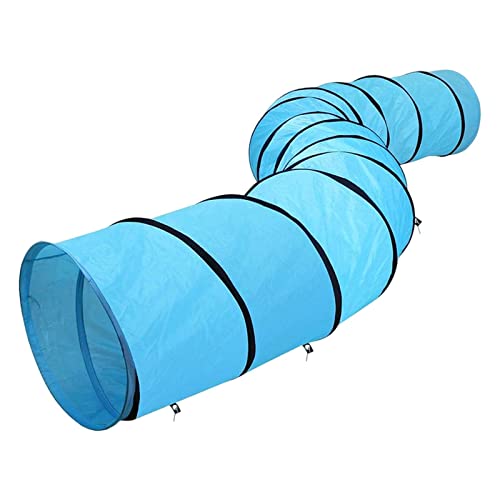 Tunnel pour chat centre d'activités portable pour entraînement et agilité
