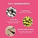 PHILIP KINGSLEY - Elasticizer | Deep Conditioner | Repair Hair Mask Treatment for All Hair Types | Pre-Shampoo Deep Conditioning Mask | Hydrates, Adds Shine and Reduces Breakage and Frizz | 2.53oz
