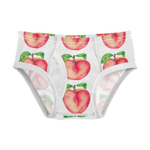 Watercolor Peaches Toddler Boy's Underwear 2T 202c1406
