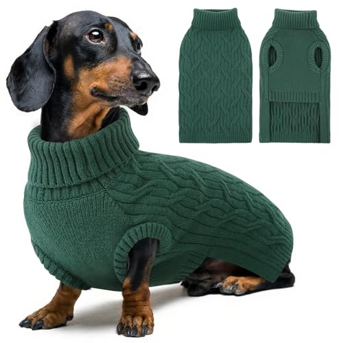 Queenmore Jersey Perro Pequeño, Jersey Elástico Cuello Alto para Interior/Exterior, Ideal para Cocker Spaniel, Caniche - Ropa Perro Pequeño (Verde, S)