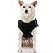 Gooby Fashion Vest Dog Jacket - Black, Medium - Warm Zip Up Bomber Vest with Dual D Ring Leash - Winter Water Resistant Small Dog Sweater