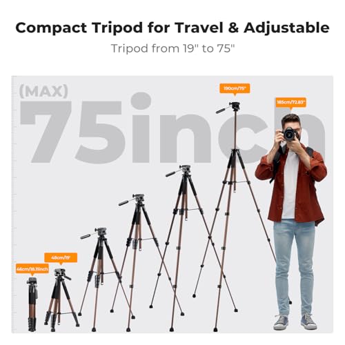 Image of K&F CONCEPT 75 inch Aluminum Camera Tripod, Lightweight and Compact for Travel