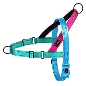 Didog No Pull Dog Harness with Soft Padded Handle, Quick Fit & Lightweight Adjustable Vest Harness, Easy for Training Walking for Small & Medium and Large Dogs(Blue,L)